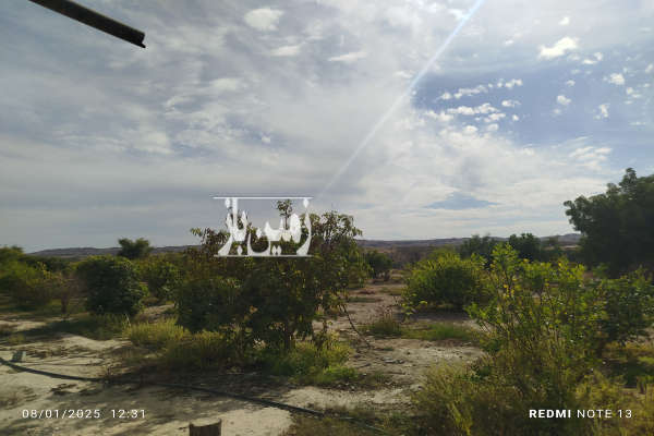 باغ در روستای سرخون بهمراه آب چاه و استخر و درختان چند ساله-1