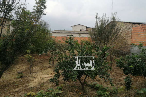 زمین مسکونی ۳۸۰ متری شهرستان نوکنده-3