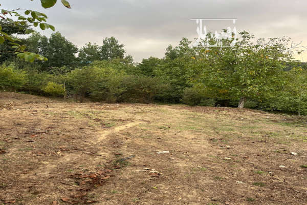 زمین مسکونی با پروانه ساخت در نکا یعقوب محله ۲۵۰ متر-1