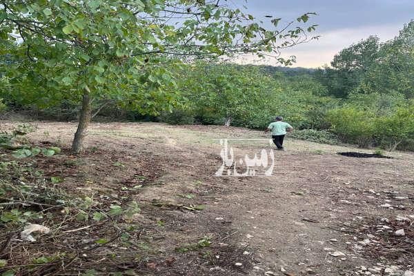 زمین مسکونی با پروانه ساخت در نکا یعقوب محله ۲۵۰ متر-3