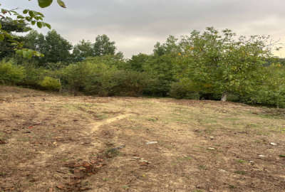 زمین مسکونی با پروانه ساخت در نکا یعقوب محله ۲۵۰ متر