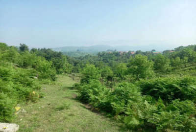 فروش زمین باغی ۱۷۰۰ متر روستای ایشیان