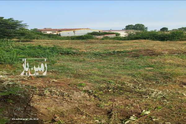 زمین مسکونی ۲۵۰ متری در ورودی شهرک سپید کنار-2