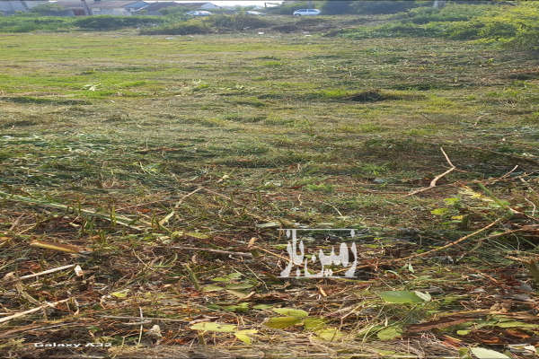 زمین مسکونی ۲۵۰ متری در ورودی شهرک سپید کنار-3