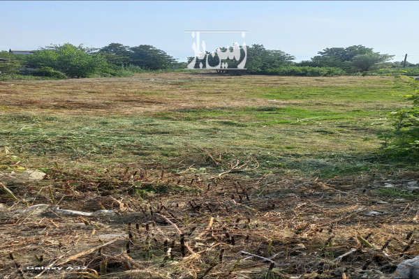 زمین مسکونی ۲۵۰ متری در ورودی شهرک سپید کنار-4