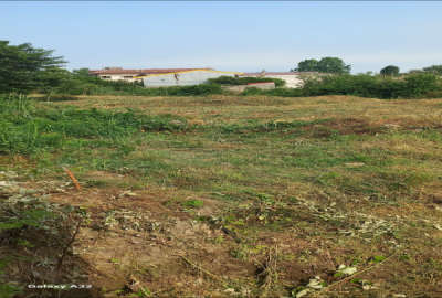 زمین مسکونی ۲۵۰ متری در ورودی شهرک سپید کنار