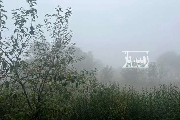 زمین فروشی در بهترین بخش منطقه دارای سند تک برگ-3