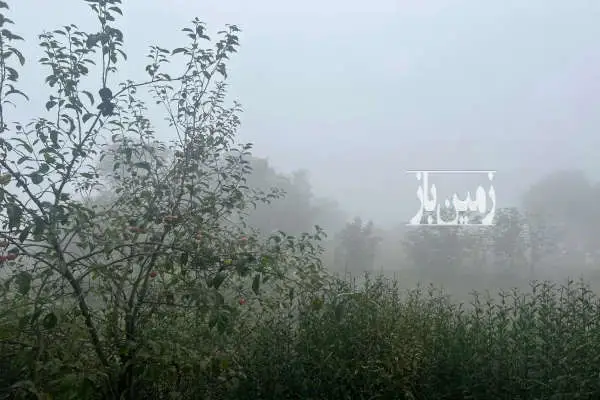زمین فروشی در روستای ویشان توتکابن ۱۷۵۰ متر - تصویر 3