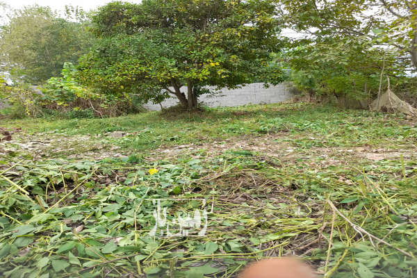 زمین مسکونی ۲۳۳ متری در یوسف آباد خشکبیجار-2