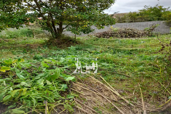 زمین مسکونی ۲۳۳ متری در یوسف آباد خشکبیجار-3