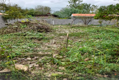 زمین مسکونی ۲۳۳ متری در یوسف آباد خشکبیجار