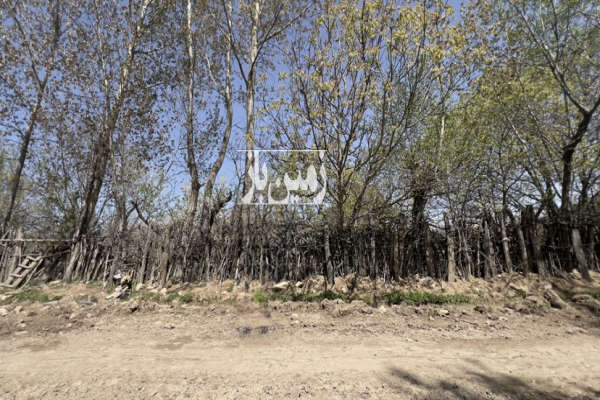 ۱۵۰۰ متر زمین در روستای کینج کجور-1