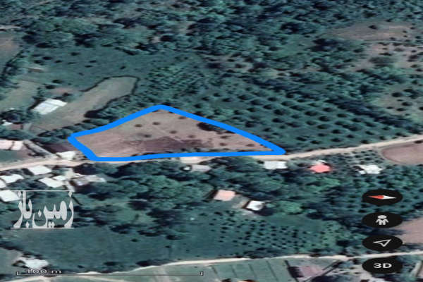 ۱۵۰۰ متر زمین در روستای کینج کجور-2