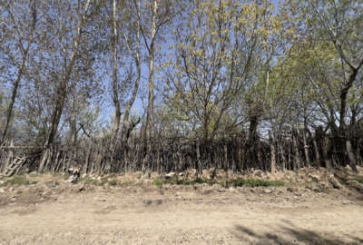 ۱۵۰۰ متر زمین در روستای کینج کجور