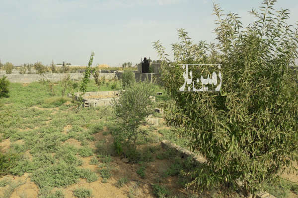باغ ۵۷۹ متری شریف اباد روستای علی آباد خرابه-2