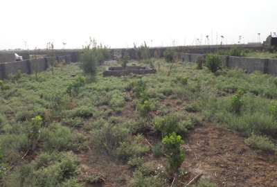 باغ ۵۷۹ متری شریف اباد روستای علی آباد خرابه