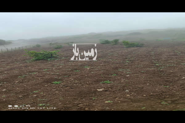 زمین در اشکورات دهستان شوئیل روستای دتورسر ۱۵۰۰ متر-3