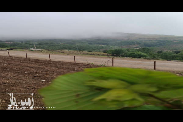 زمین در اشکورات دهستان شوئیل روستای دتورسر ۱۵۰۰ متر-4