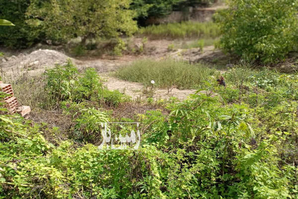 زمین مسکونی ۴۰۰ متر درروستای متکازین-2