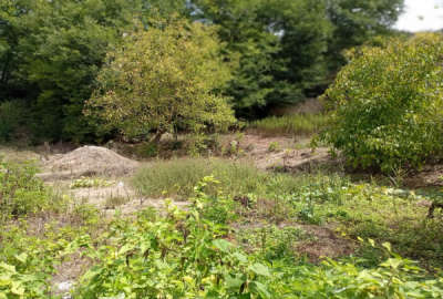 زمین مسکونی ۴۰۰ متر درروستای متکازین