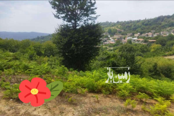 زمین مسکونی ۳۰۰۰ متر جاده پهنه کلا ساری-1