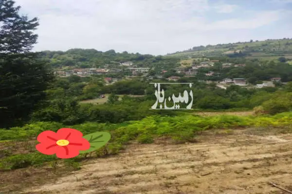 زمین مسکونی ۳۰۰۰ متر جاده پهنه کلا ساری - تصویر 3