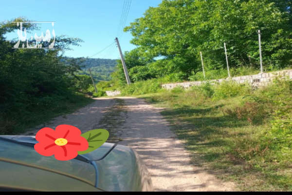 زمین مسکونی ۳۰۰۰ متر جاده پهنه کلا ساری-4