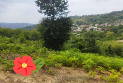 زمین مسکونی ۳۰۰۰ متر جاده پهنه کلا ساری