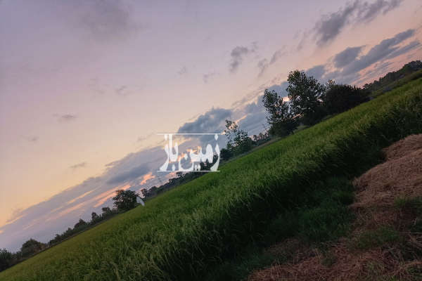 زمین مسکونی با قابلیت ساخت در روستای کلوده ۲۰۰ متر-1