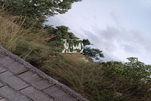 زمین مسکونی با قابلیت ساخت در روستای کلوده ۲۰۰ متر-2