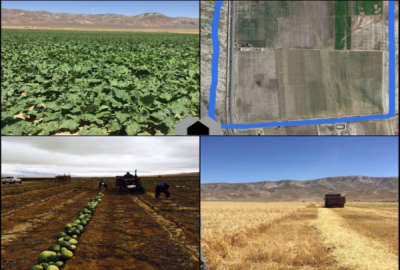 زمین کشاورزی ۱۵۰ هکتاری واقع در خراسان شمالی