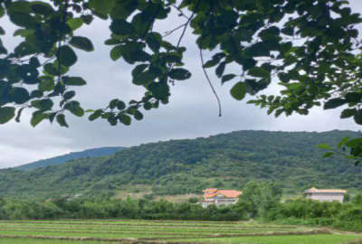 ۴۵۰۰ متر زمین شهرک باغ ویلایی در روستای عظیمیه چالکُش