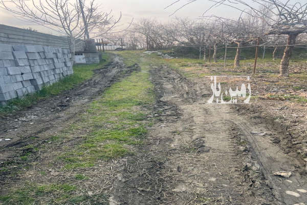 باغ ۲۴۱ متر سند شش دانگ کنار پل چالکرود-2