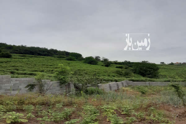 زمین ۳۵۰ متری دارای درختان متنوع میوه در روستای بهمنان-2