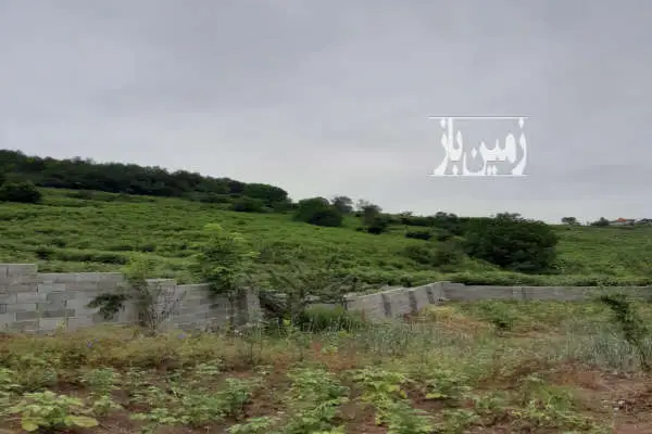 زمین ۳۵۰ متری دارای درختان متنوع میوه در روستای بهمنان - تصویر 2