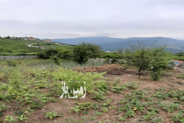زمین ۳۵۰ متری دارای درختان متنوع میوه در روستای بهمنان-3