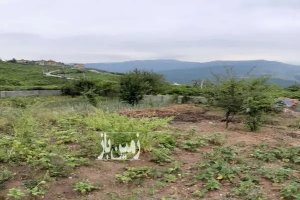 زمین ۳۵۰ متری دارای درختان متنوع میوه در روستای بهمنان - تصویر 3