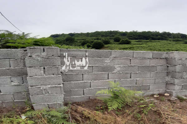 زمین ۳۵۰ متری دارای درختان متنوع میوه در روستای بهمنان-4
