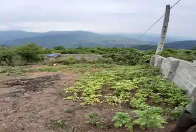 زمین ۳۵۰ متری دارای درختان متنوع میوه در روستای بهمنان