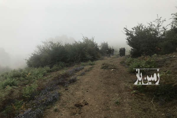 زمین ۲۰۰ متر در سوادکوه روستای کارمزد ویو ابدی-1