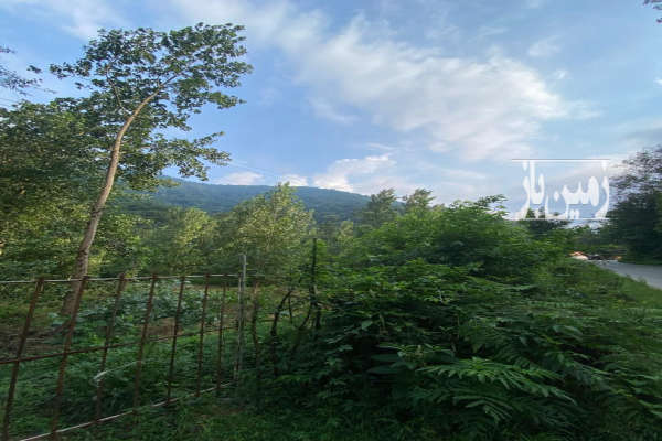 ۶۰۰ متر زمین در لنگرود سنگ تاش-2