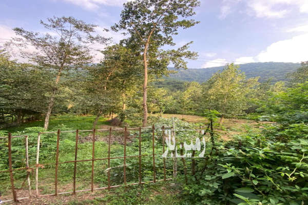 ۶۰۰ متر زمین در لنگرود سنگ تاش-3