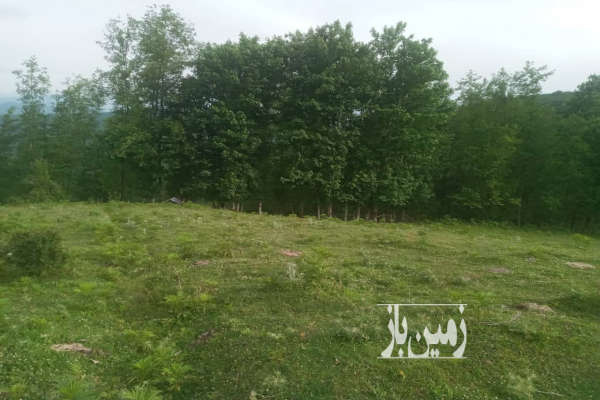 زمین به متراژ ۳۰۰ متر در روستای بهمنان-4