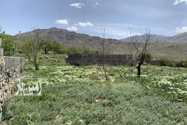 فروش زمین ۲۶۰ متر استخردار در روستای خاوه-4
