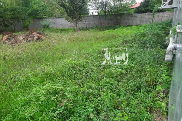 زمین مسکونی در شهر زیبای طاهرگوراب ۲۵۰ متر - تصویر 4