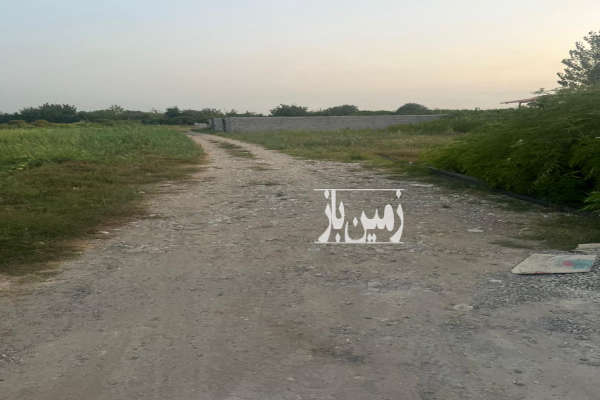زمین مسکونی واقع در قائمشهرارطه قادیکلا ۲۰۰ متر-1