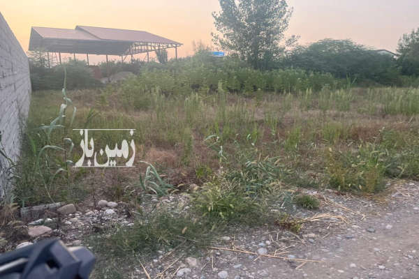 زمین مسکونی واقع در قائمشهرارطه قادیکلا ۲۰۰ متر-2