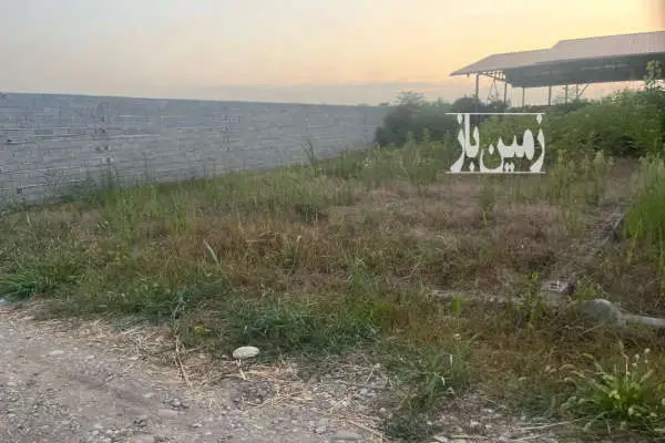 زمین مسکونی واقع در قائمشهرارطه قادیکلا ۲۰۰ متر - تصویر 3