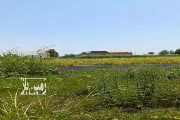 زمین ۲۰۰ متر روستای دنج کیابسر شهرکی-1