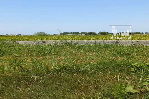 زمین ۲۰۰ متر روستای دنج کیابسر شهرکی-2